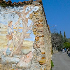 P1180934    Trasferimento.